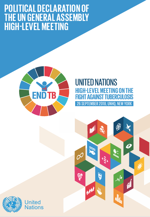 Nghị quyết 73/3: Tuyên bố chính trị của cuộc họp cấp cao của Đại hội đồng về cuộc chiến chống lại bệnh lao. New York: Đại hội đồng Liên hợp quốc; 2018